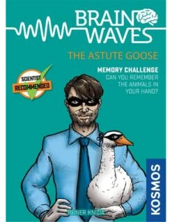 Kosmos Brainwaves: The Astute Goose