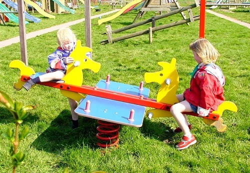 Duo-veerpony Openbaar 5 Duo-veerpony Openbaar - Afbeelding 3