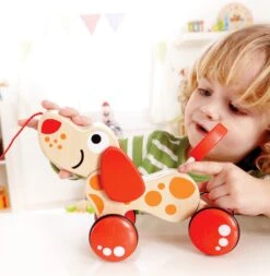Trekfiguur – Hape – Pepe Pull Along -Bekende Speelgoed Winkel houten trekfiguur hape walk a long puppy 2
