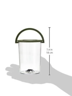 Scout 19380 Reuze Insectenbeker Met Vergrootglas Scouting Outdoor -Bekende Speelgoed Winkel insecten beker vergrootglas scout 19380 3