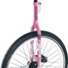 Kettler Eenwieler Pink Flower 20inch -Bekende Speelgoed Winkel kettler eenwieler pink flower 20inch circusfiets eenwielfiets