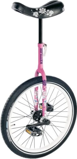 Kettler Eenwieler Pink Flower 20inch