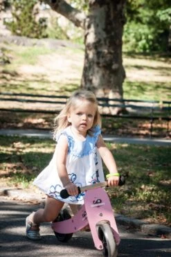 Tiny Tot Loopfiets 2 – In – 1 Kinderfeets – Loopfiets – Rose 12 Tiny Tot Loopfiets 2 – In – 1 Kinderfeets – Loopfiets – Rose -Bekende Speelgoed Winkel kinderfeets tiny tot roze loopfiets 3