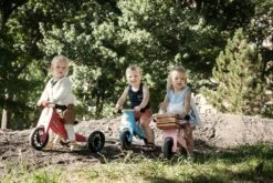 Tiny Tot Loopfiets 2 – In – 1 Kinderfeets – Loopfiets – Rose 13 Tiny Tot Loopfiets 2 – In – 1 Kinderfeets – Loopfiets – Rose -Bekende Speelgoed Winkel kinderfeets tiny tot roze loopfiets 4