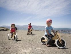 Wishbonebike 3-in-1 Loopfiets -Bekende Speelgoed Winkel loopfiets wishbone bike 4