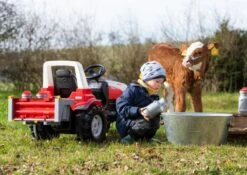 RollyBox Met RollyMelkbussen -Bekende Speelgoed Winkel rolly toys rolly toys 408894 rolly rollybox melkbussen 4